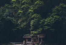 British Study: Daily Workouts Help you Cope Better with Stress